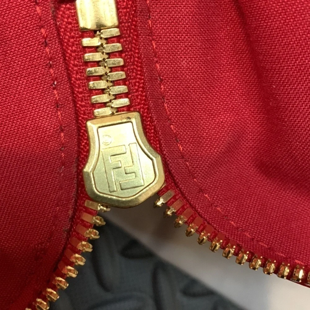 FENDI | Chameleon Leather Satchel